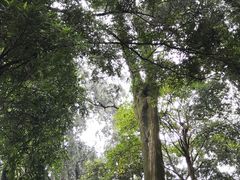 -金堂县云顶石城风景区