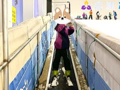 -绍兴启迪乔波冰雪世界