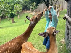 -泉州海丝野生动物世界