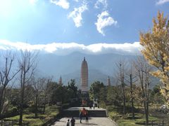 -三塔倒影公园