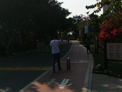 -仙岳公园
