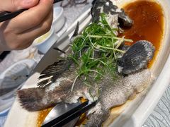 -强记海鲜·大排档(蛇口新街店)