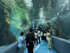 -合肥海洋世界