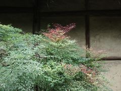 -成都杜甫草堂博物馆