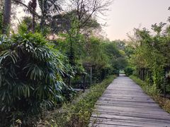 -广西壮族自治区药用植物园