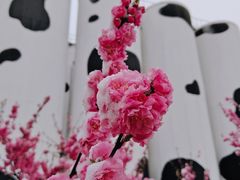 -蒙牛工业旅游景区