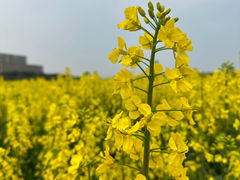 -秦山核电科技馆