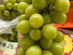 -马陆小张葡萄园农家乐