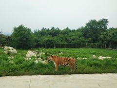 -西安秦岭野生动物园