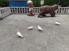 -金庭庄园酒店-停车场