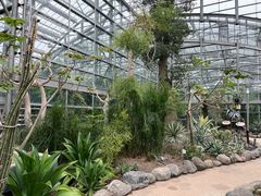 -南山植物园