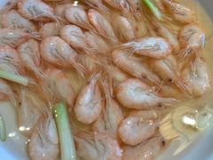 盐水白虾-二泉园老菜馆·百年无锡菜