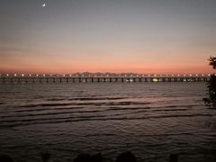 -宝安西湾红树林湿地公园