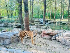 -北京野生动物园