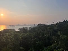 -圣淘沙天际线斜坡滑车
