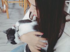 -海边的猫和咖啡馆