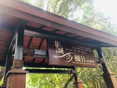 -亚龙湾热带天堂森林公园