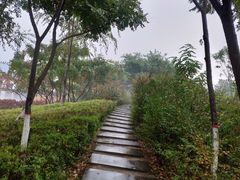 -西安汉城湖景区