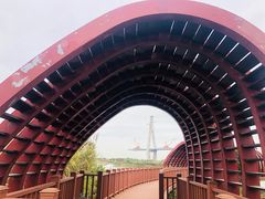 -芒洲湿地公园