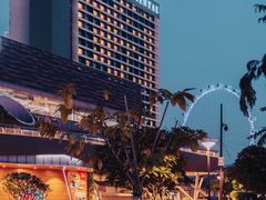 -新加坡文华东方酒店