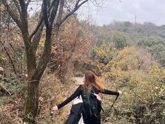 -杭州半山国家森林公园