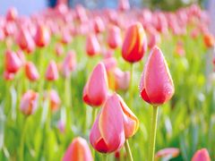 -长春公园(普阳街道)