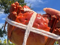 -品鲜村农家菜·阳澄湖大闸蟹(总店)