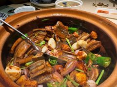 生啫花鳝-侨美食家·粤菜(体育西路店)