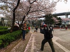 -上海南浦大桥长途旅游客运站