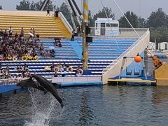 -渔岛海洋度假区