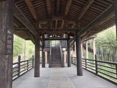 -大唐贡茶院
