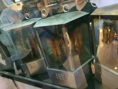 -一代烤翅王(大汉口店)