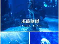 -海合安天津极地海洋公园