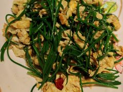 -伊帆食府·青海地方特色美食