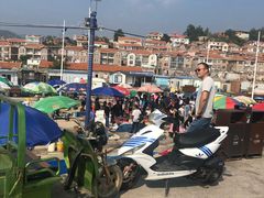 -青岛沙子口国家中心渔港