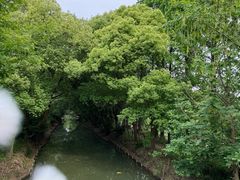 -同里国家湿地公园
