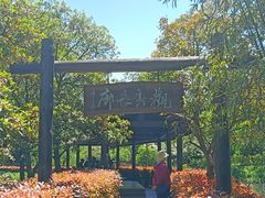 -上海共青森林公园