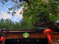 -星巴克(福州三坊七巷店)