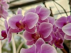 -石家庄市植物园