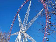 -哈尔滨文化公园