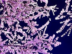 -华熙生物·润百颜ECM中心