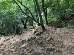 -紫金山山顶公园