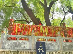 -大槐树寻根祭祖园