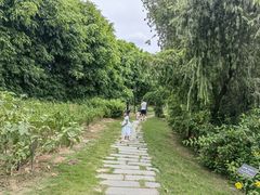 -厦门悦华酒店