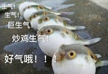 -金逸影城(哥伦布店)