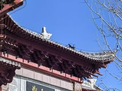 -白佛山景区