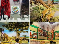 -国家自然博物馆