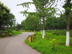 -永定河休闲森林公园