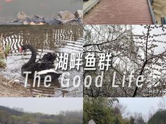 -河北省园博园