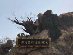 -大槐树寻根祭祖园